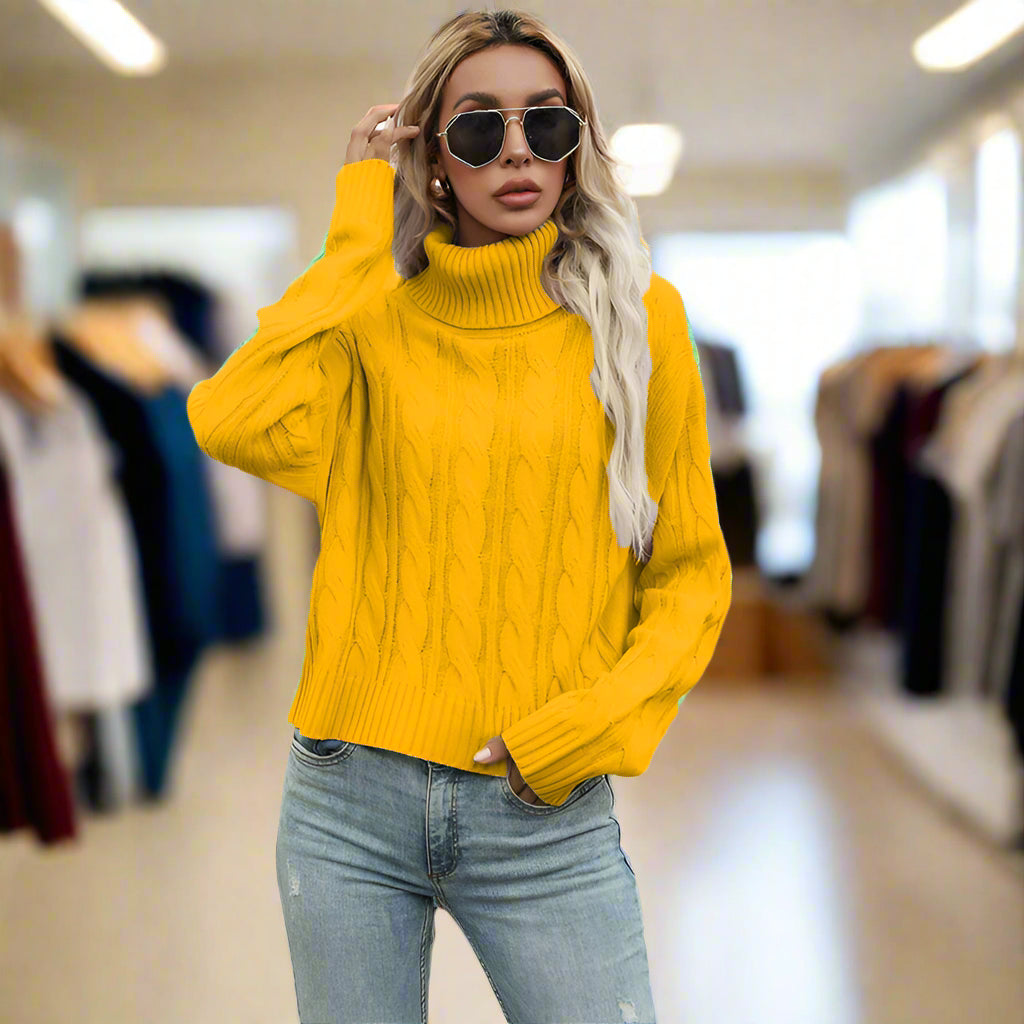 Pull Col Roulé Côtelé Femme - Chaleur Élégante Hiver